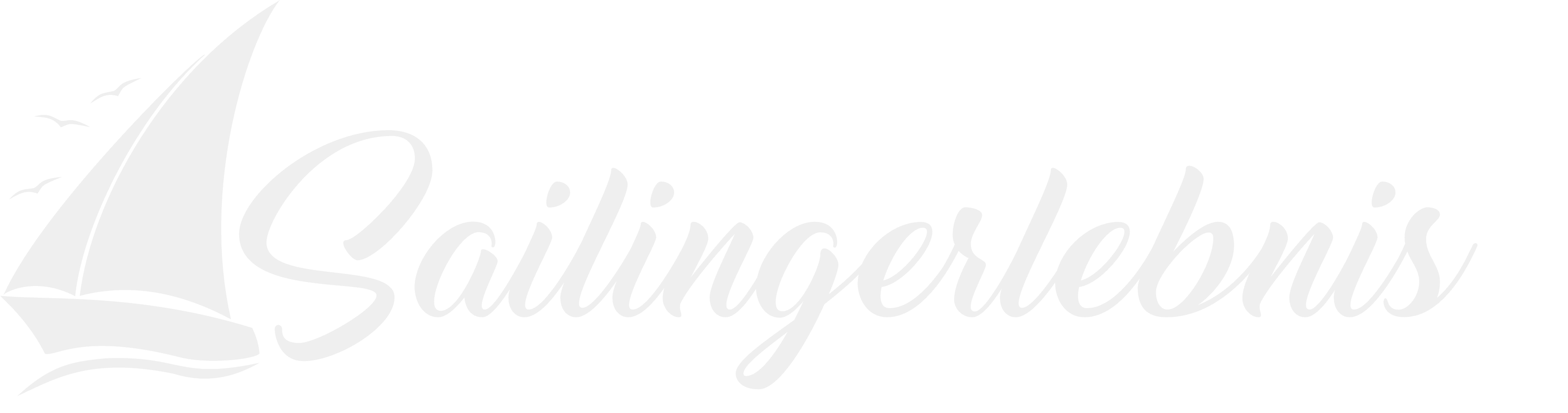 Logo Sailingerlebnis.de